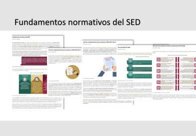 Fundamentos normativos del SED